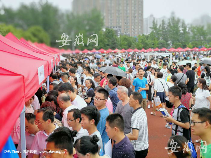 高招咨询会现场。