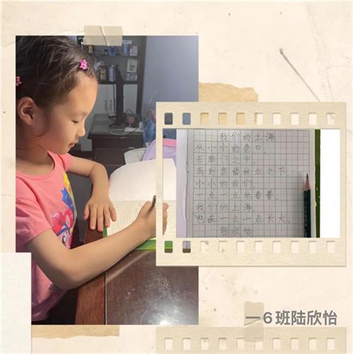 WDCM上传图片