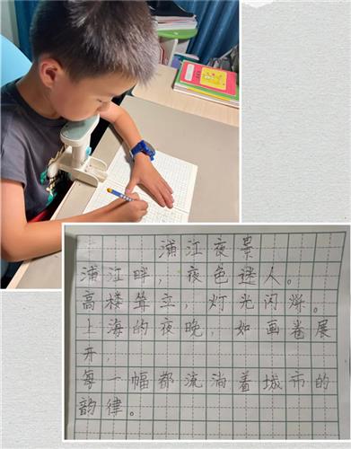 WDCM上传图片