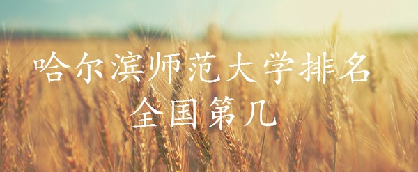 1646189203307978.jpg