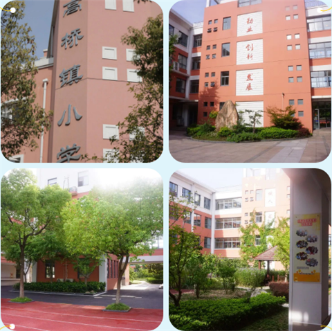 WDCM上传图片