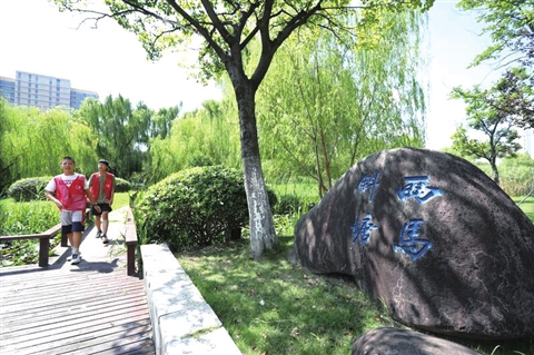 本版图片：“住”在苏州中学园区校内的袖珍湿地。记者 张健摄