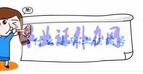 毕业证编号