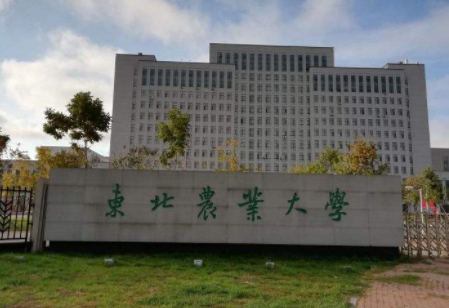 东北农业大学排名全国第几？在211中什么地位？有哪些王牌专业？