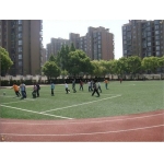 上海市浦东新区园西小学