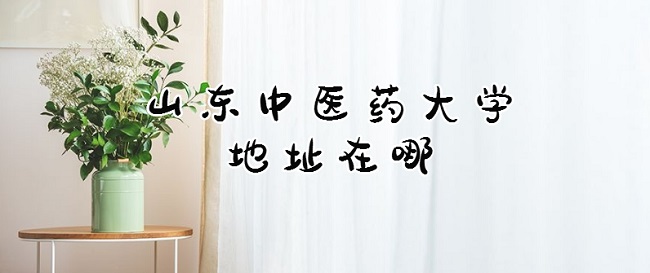 山东中医药大学地址在哪？哪个省？哪个城市？哪个区
