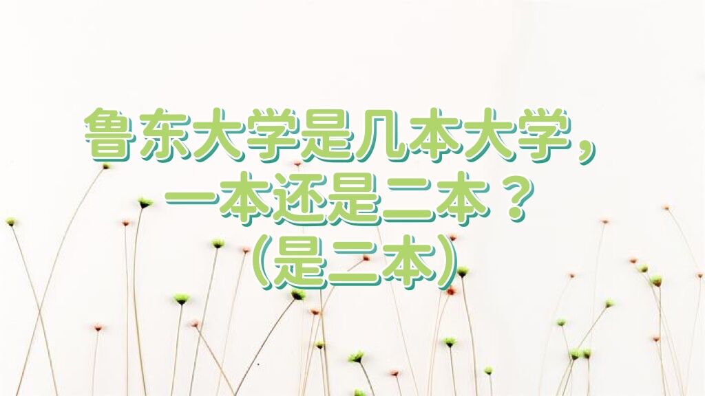 1651895844991107.jpg 鲁东大学是几本大学,一本还是二本?(是二本)