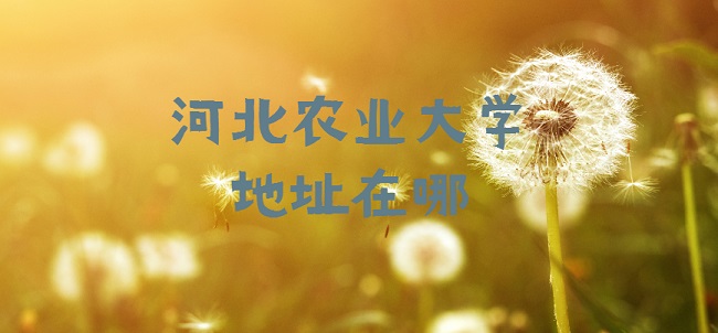 河北农业大学地址在哪？哪个省？哪个城市？哪个区