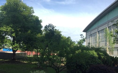 杭州市夏衍中学简介概况(建校历史、地址、师资、校训、环境)