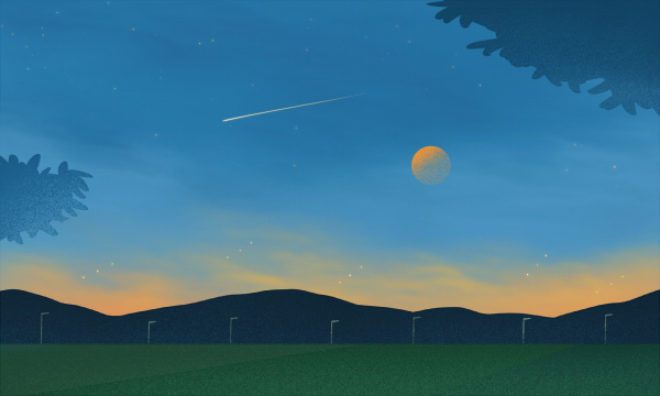 2025管理学专业包括哪些 具体专业名单