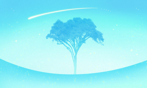 广州大学在各省2025年录取分数线出炉 录取线多少分 广州大学在各省2025年录取分数线出炉 录取线多少分