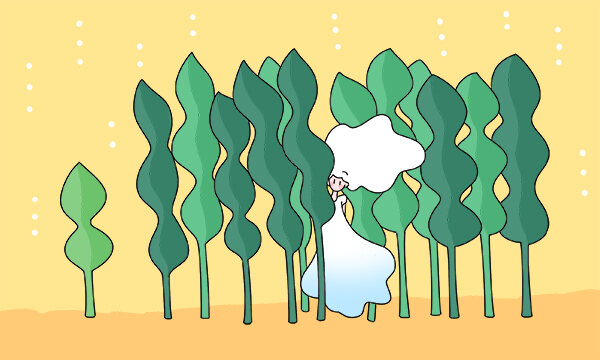 2025年天津理工大学各专业录取分数线全国汇总 各省最低多少分能上(含中外合作、国家专项) 2025年天津理工大学各专业录取分数线全国汇总 各省最低多少分能上(含中外合作、国家专项)