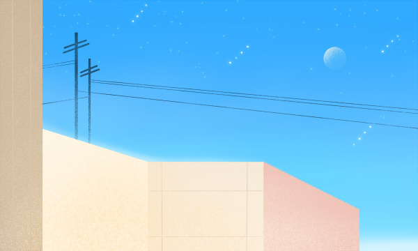 东北农业大学在各省2025年录取分数线出炉 录取线多少分