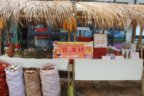 2025东川红土地“洋芋花开”艺术季14日启动4