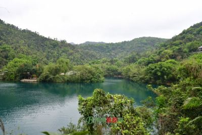 鼎湖山蝴蝶谷原始雨林