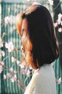 雁归