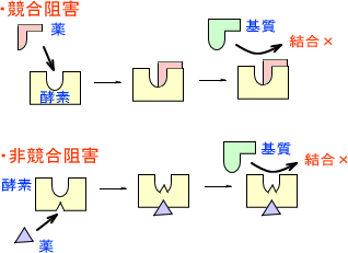 酵素阻害薬